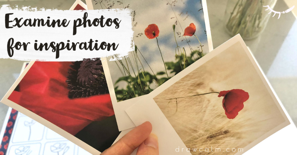 3 beautiful poppy photographs used for color reference.