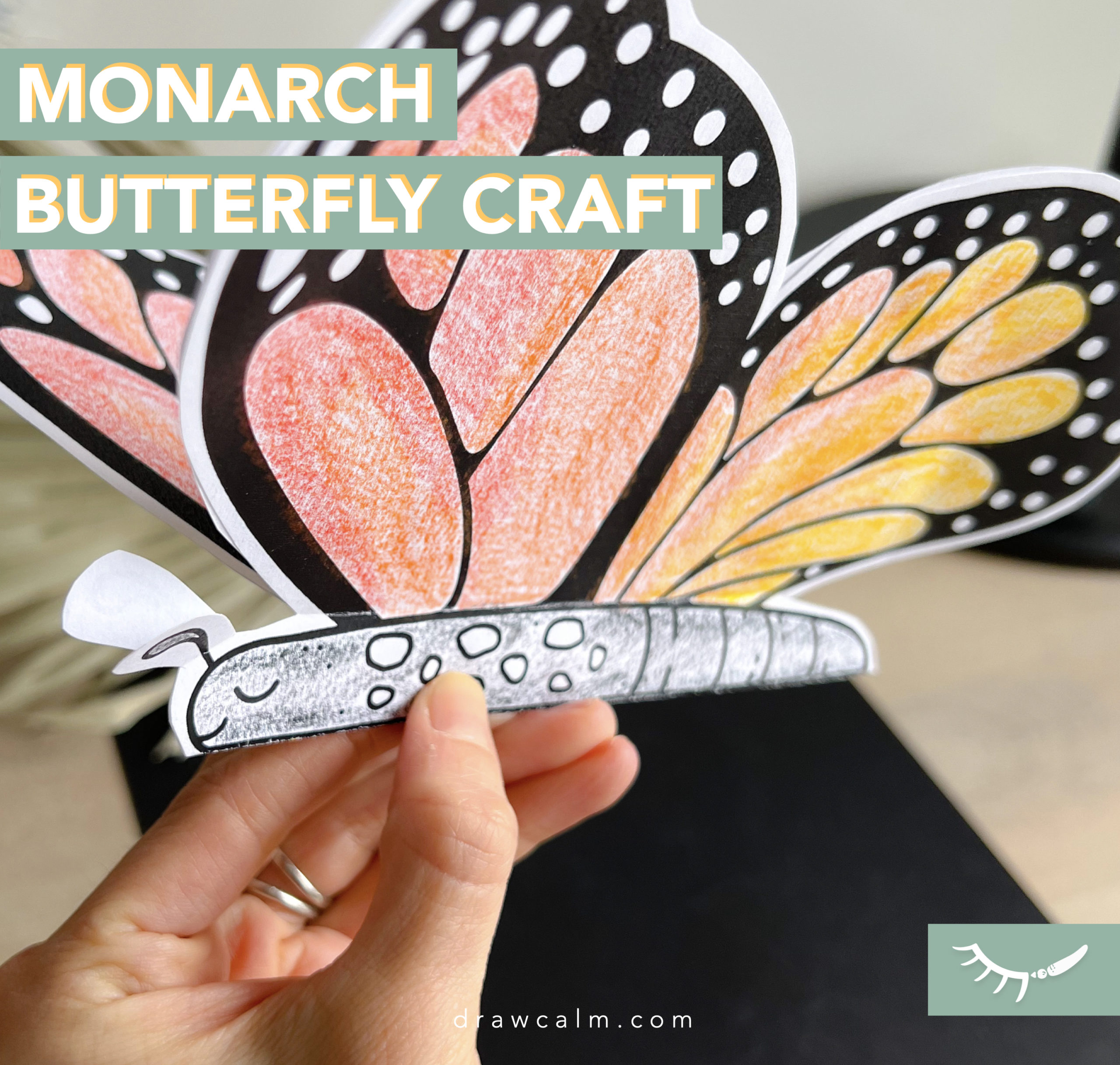 Coloring Page of butterfly life cycle craft. Printable monarch butterfly craft made of 2 pieces of paper, designed by draw calm.