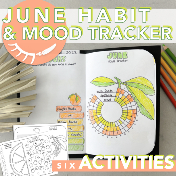 A booklet that is made out of 6 different activities. They are bullet journal ideas printable. With habit trackers, reading trackers and mood trackers.