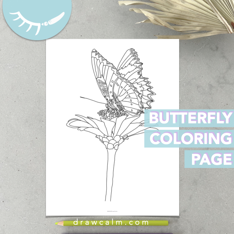 Downloadable pdf coloring page of a butterfly sitting on a single flower.