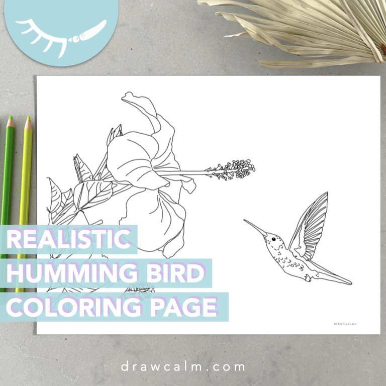 Downloadable pdf coloring page showing a humming bird approaching a flower.