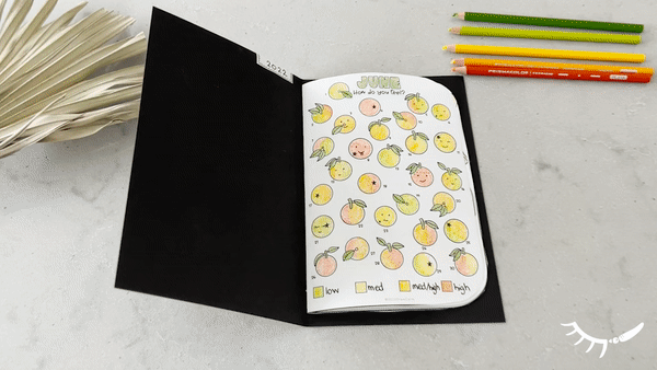 Mood tracker printable showing 30 mini oranges to color in for the month of June. Booklet also contains habit trackers, reading trackers and more.