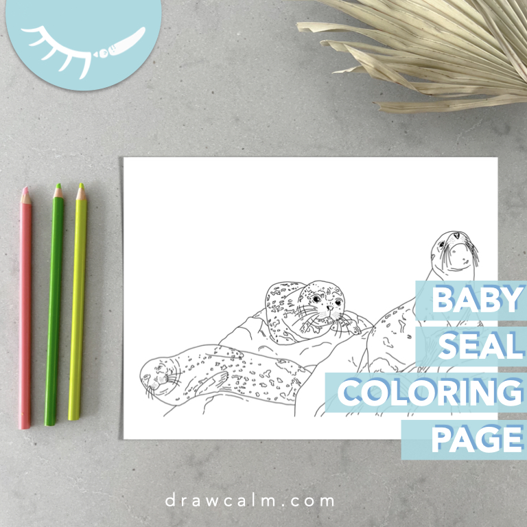 Printable baby seal coloring page.