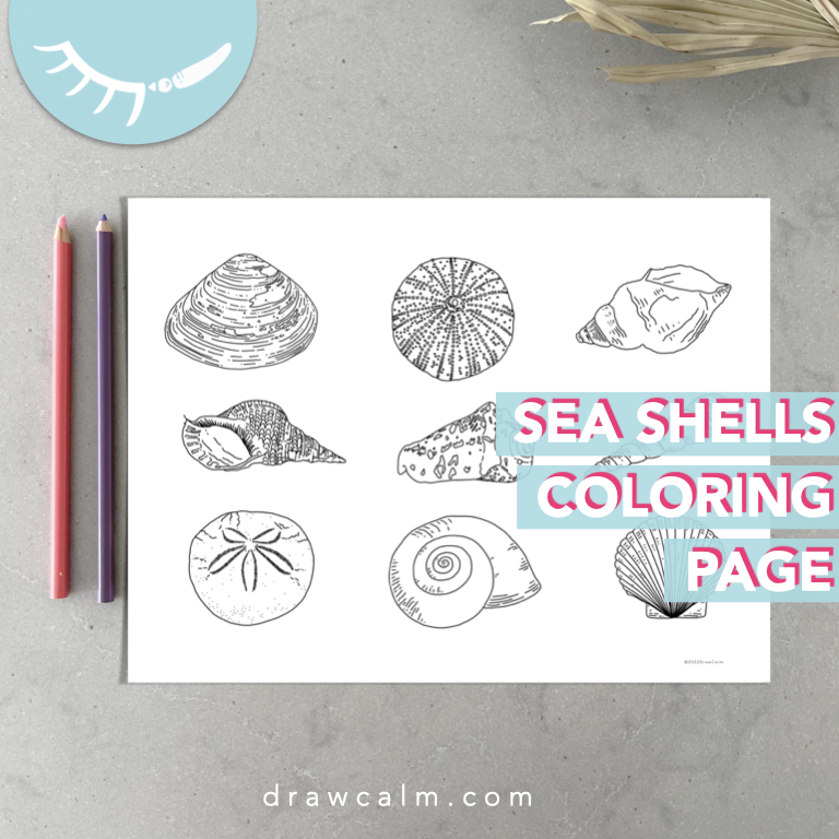 Printable coloring page showing 9 sea shells.