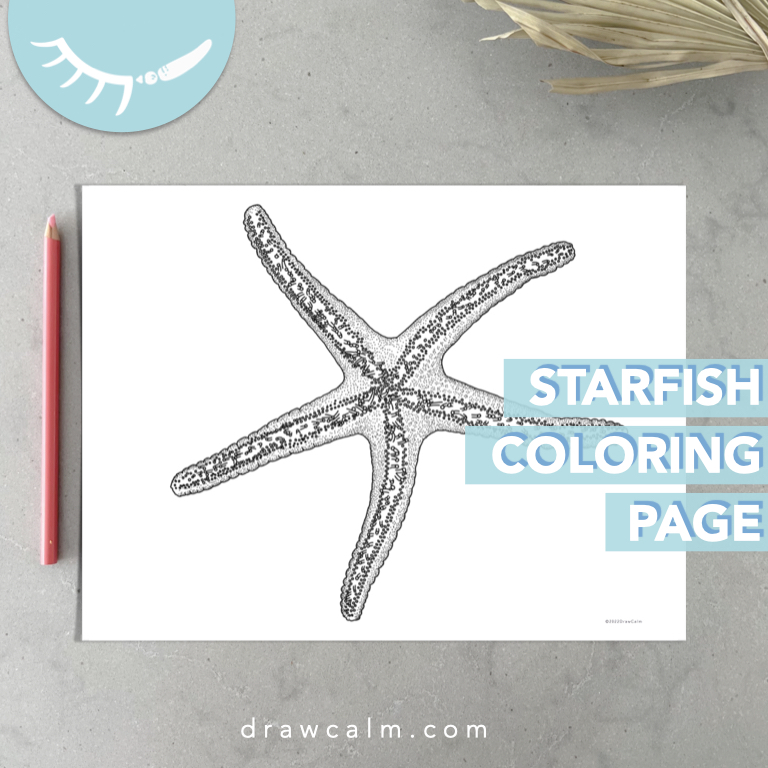 Downloadable realistic colouring page of a sea star.