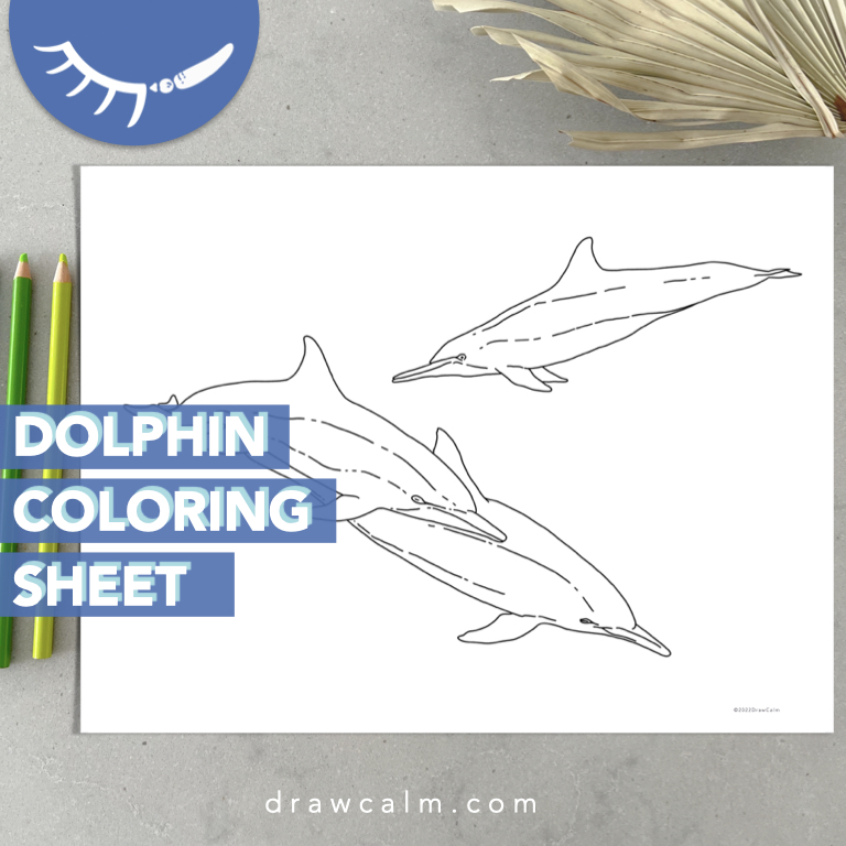 Printable dolphin coloring sheets showing 3 dolphins.