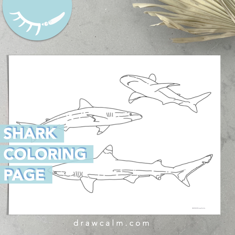 Printable shark coloring page showing 3 sharks.