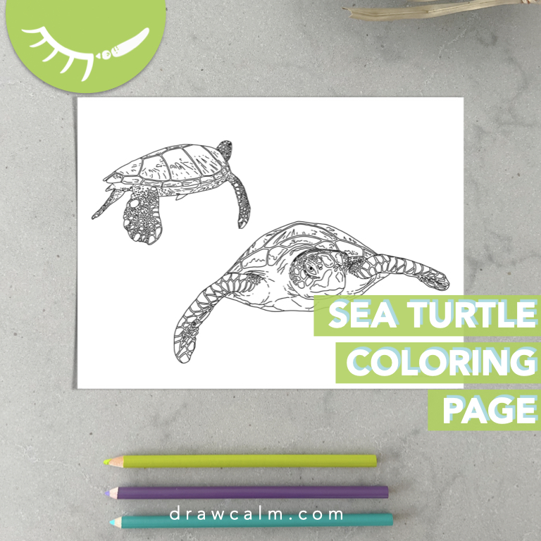 Coloring page showing 2 swimming sea turtles.