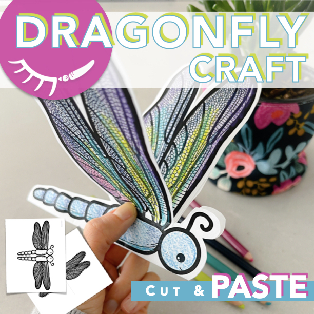 A printable adult stage in the dragon life cycle. A printable dragonfly coloring page that transforms into a 3D dragonfly.