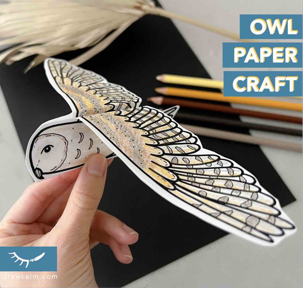 Printable 3D Owl paper craft. It is made from 2 pieces of paper.