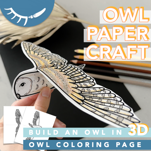 Printable owl coloring pages that transform into a 3D owl.